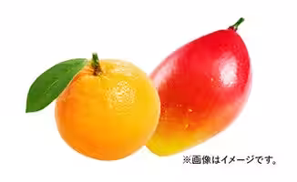 画像7