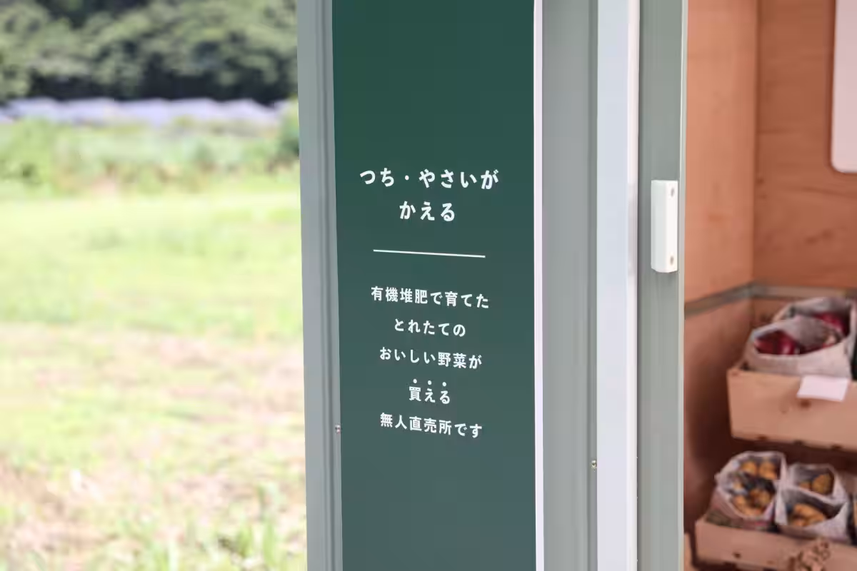 画像11