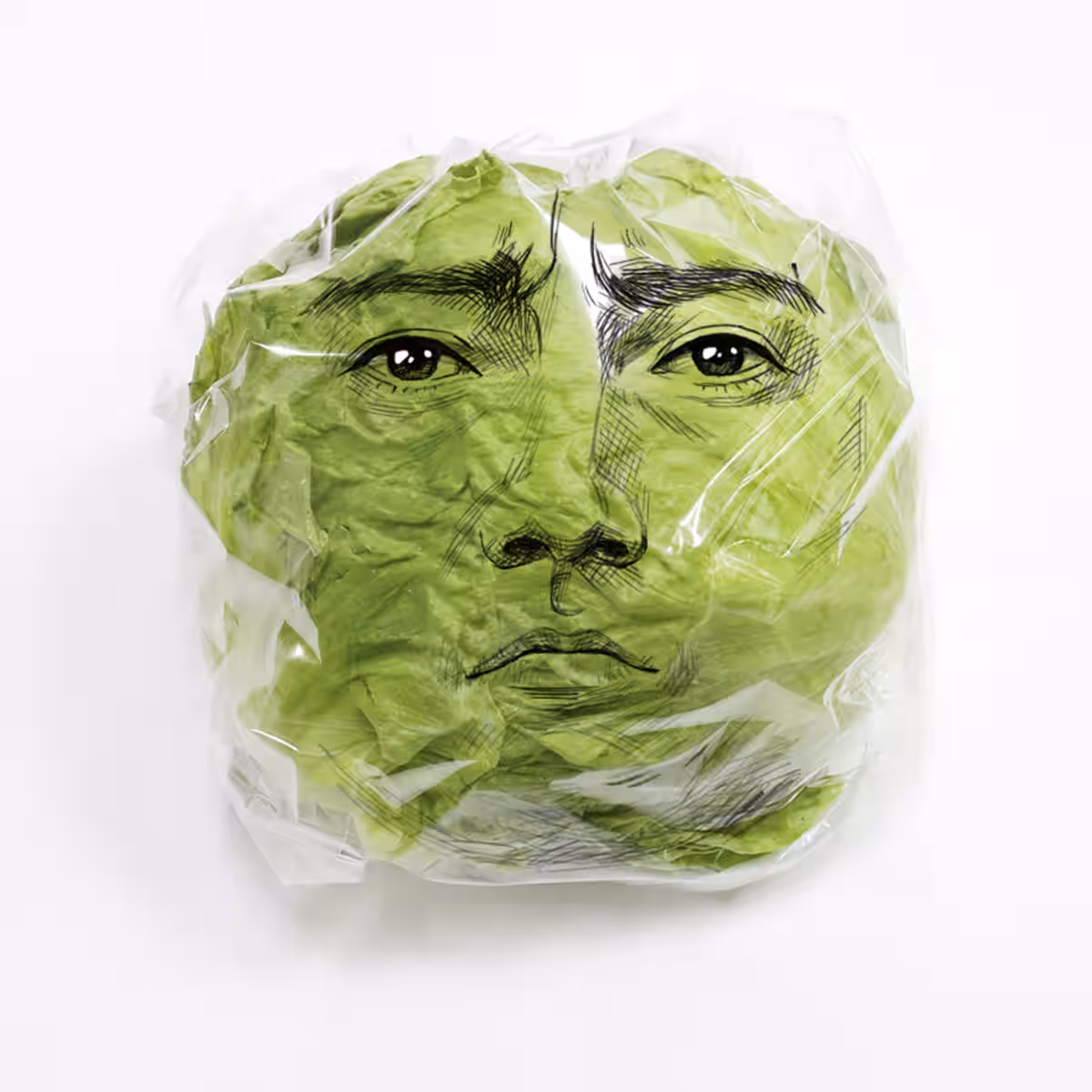 画像16
