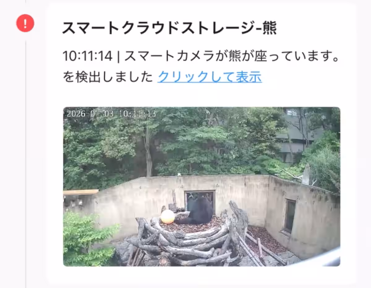 画像11