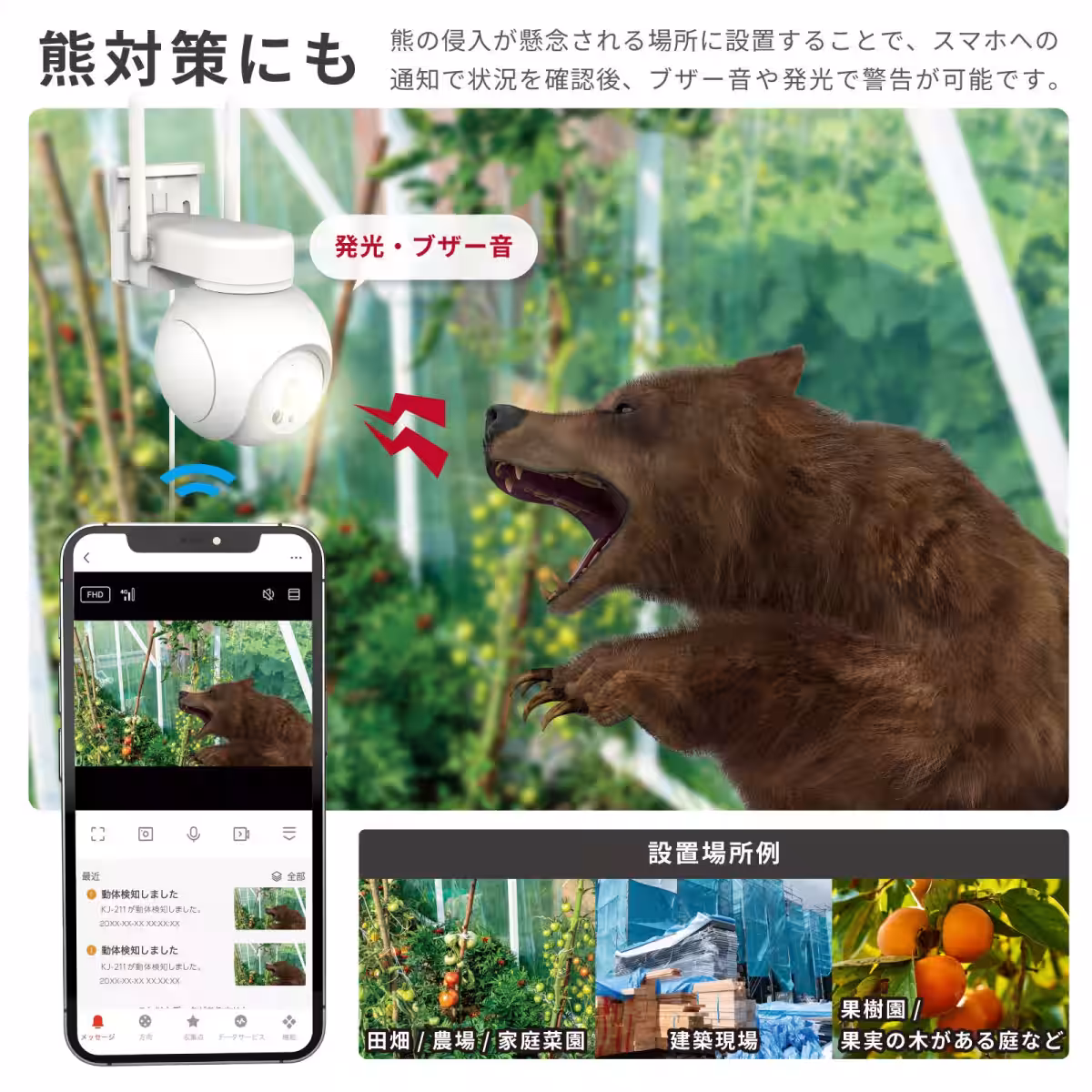 画像22