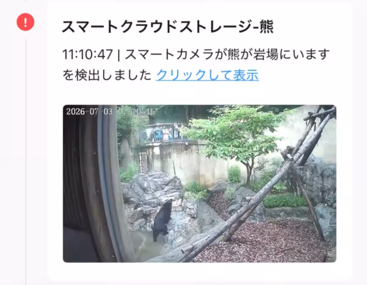 画像12