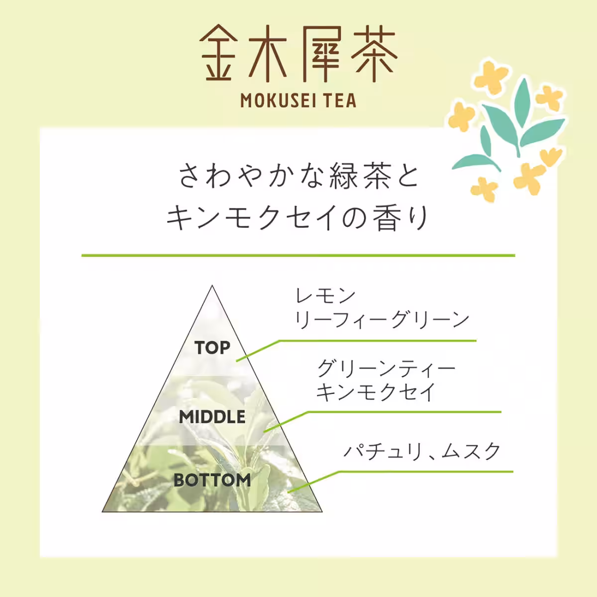 画像18