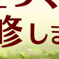 黒谷友香の庭づくり