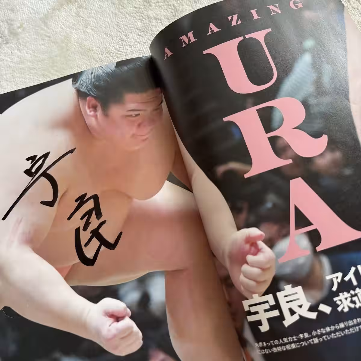 画像8