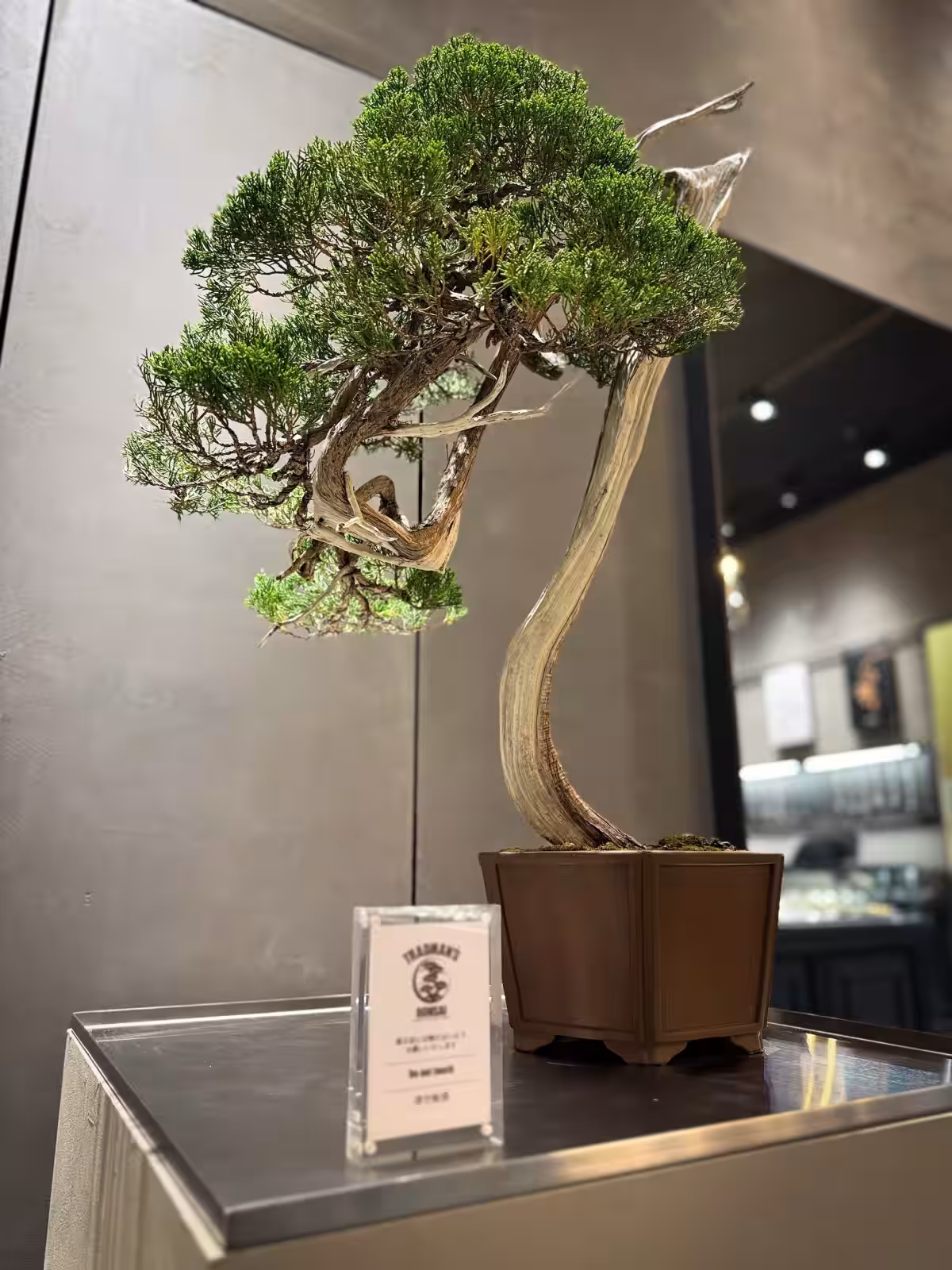 画像25