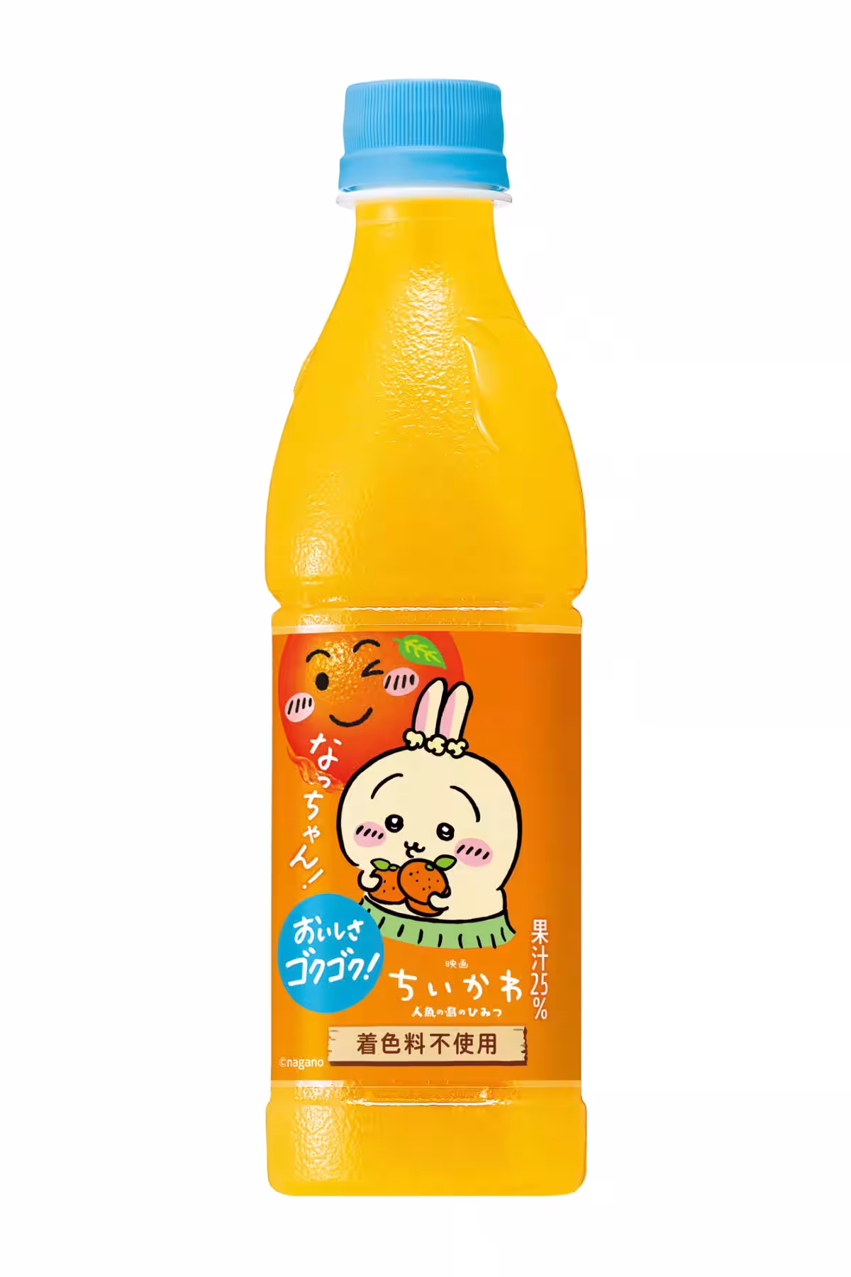 画像27