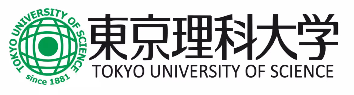 画像11