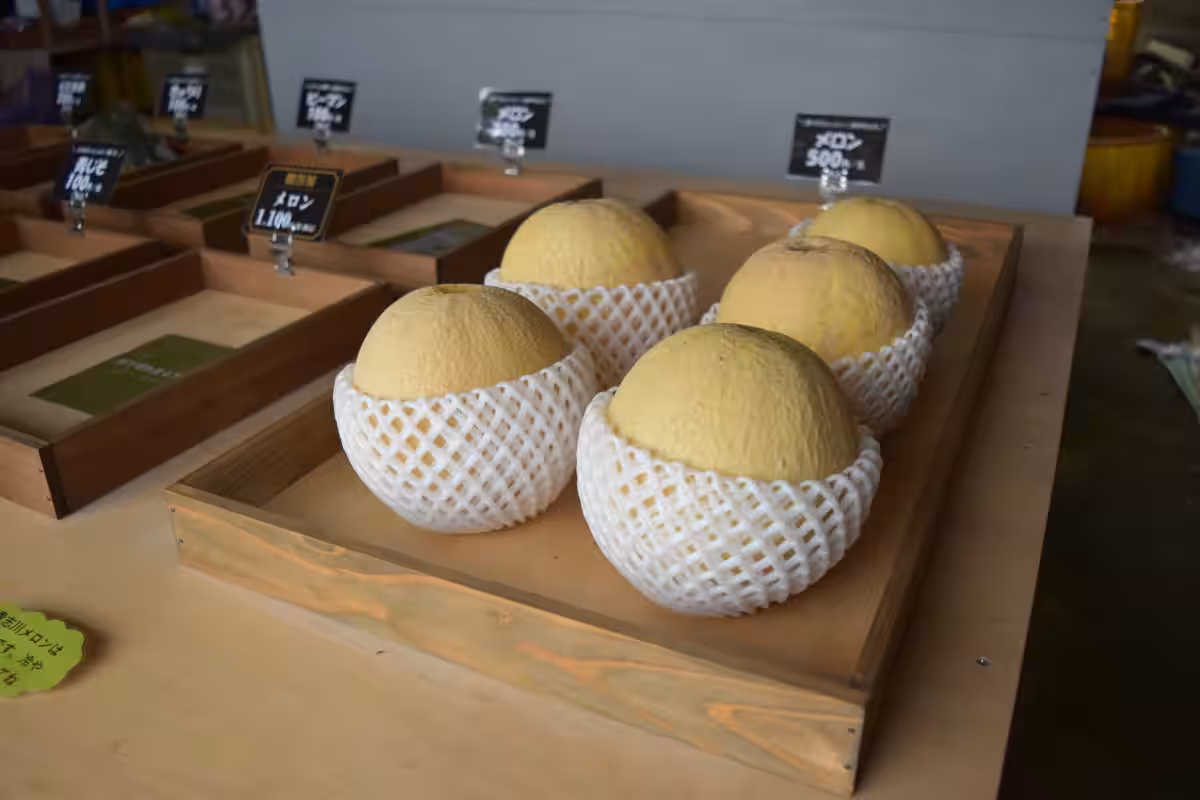 画像5