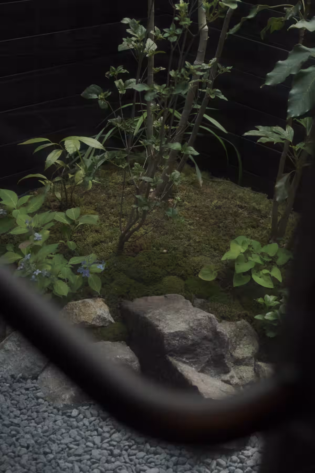画像14