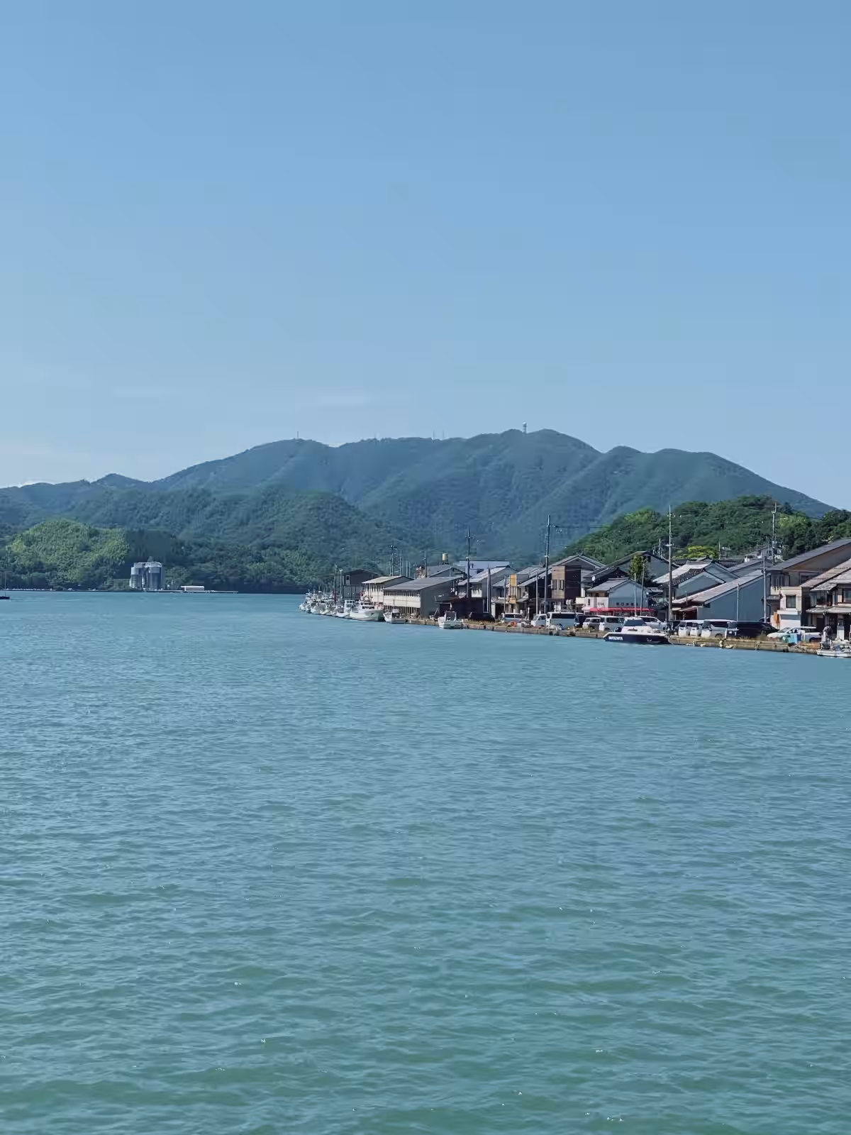 画像7