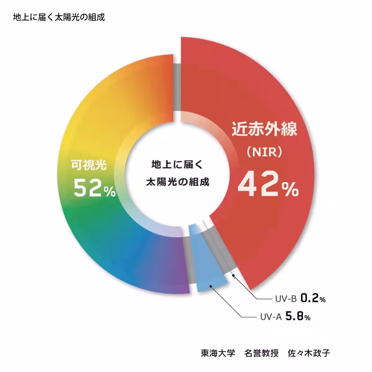 画像19