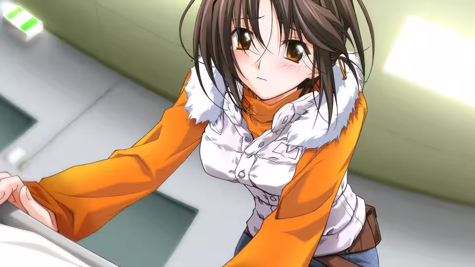 画像15