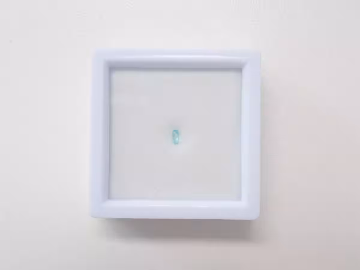 画像12