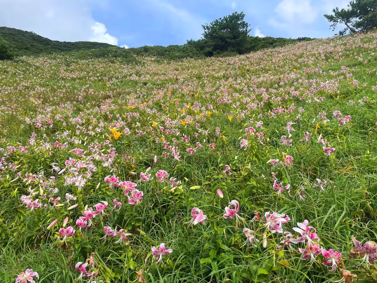画像8