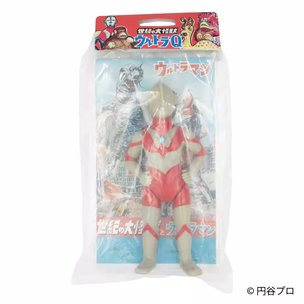 画像7