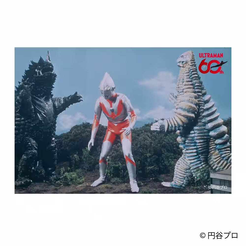 画像17