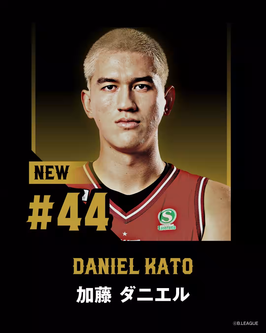 画像12