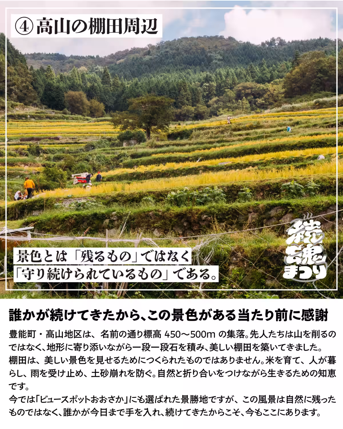 画像11