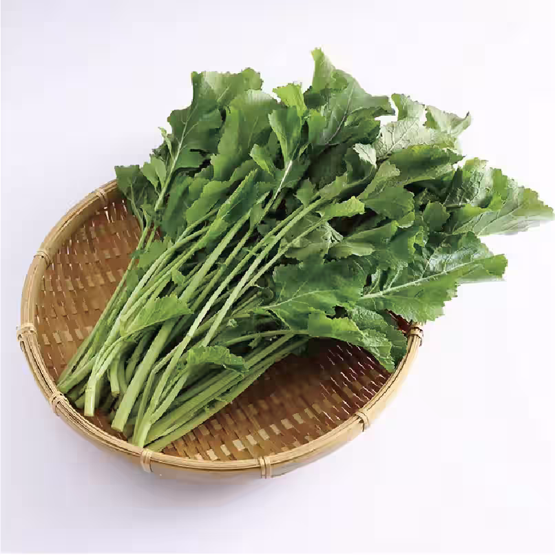 画像7