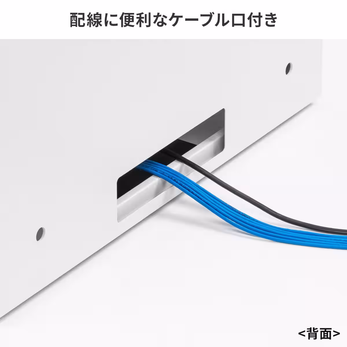 画像12