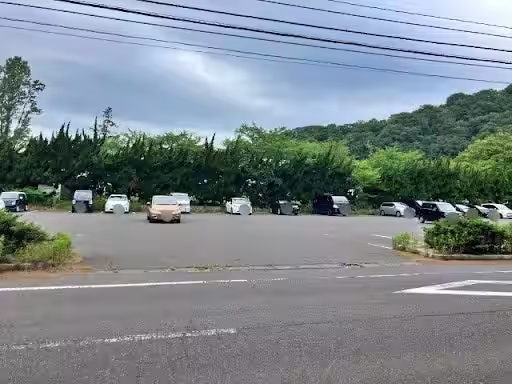 画像4