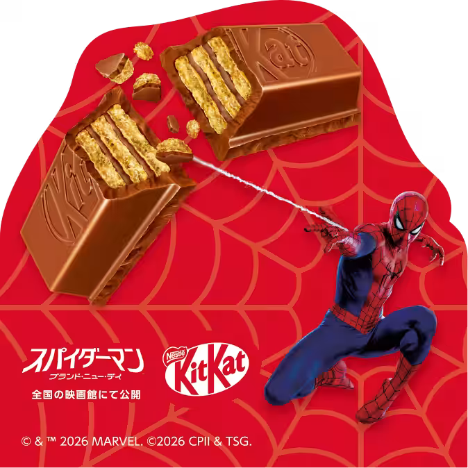 画像14