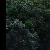 建築ビジュアライゼーション