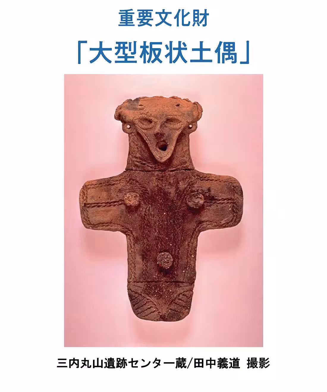 画像14