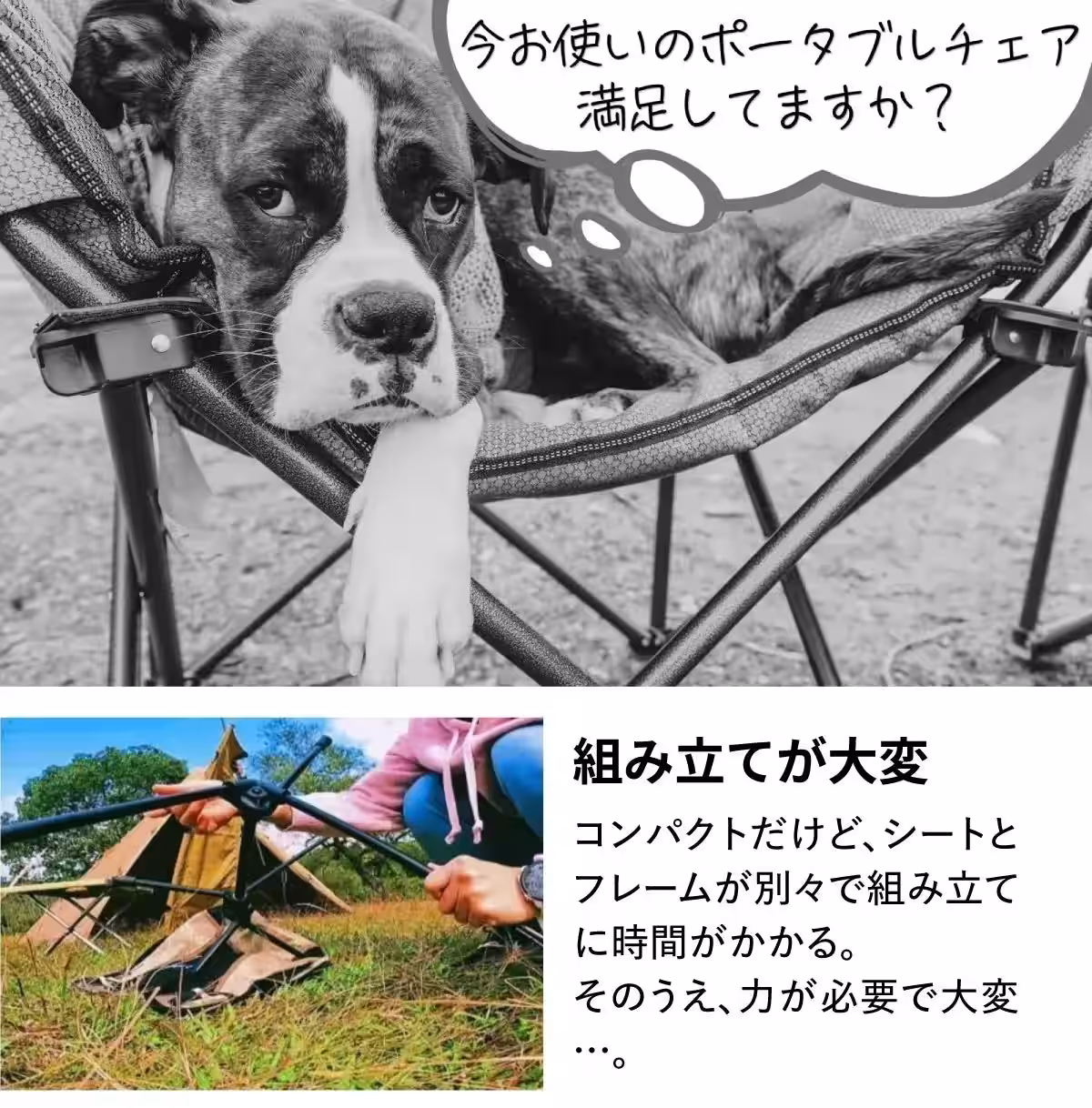 画像12