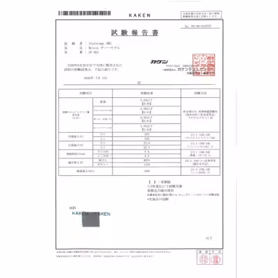 画像12