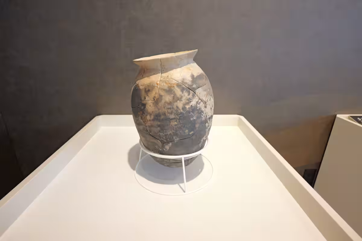 画像14