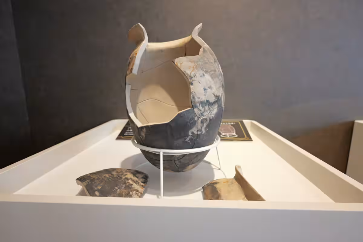 画像13