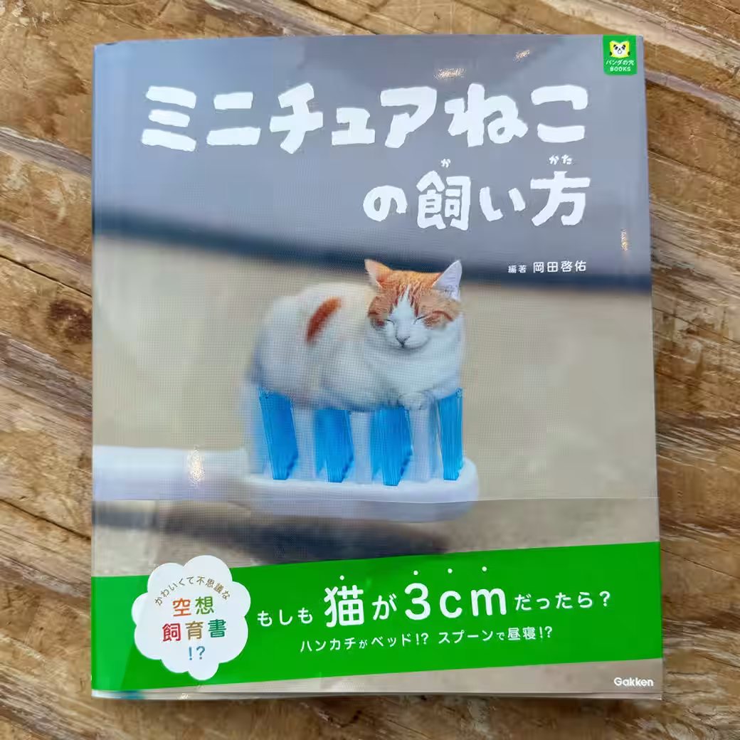 画像3