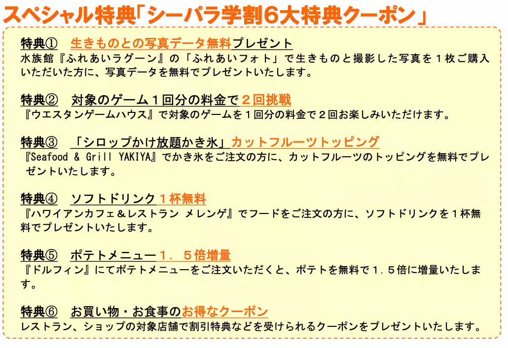 画像17