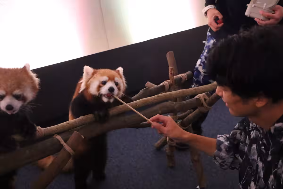 画像7