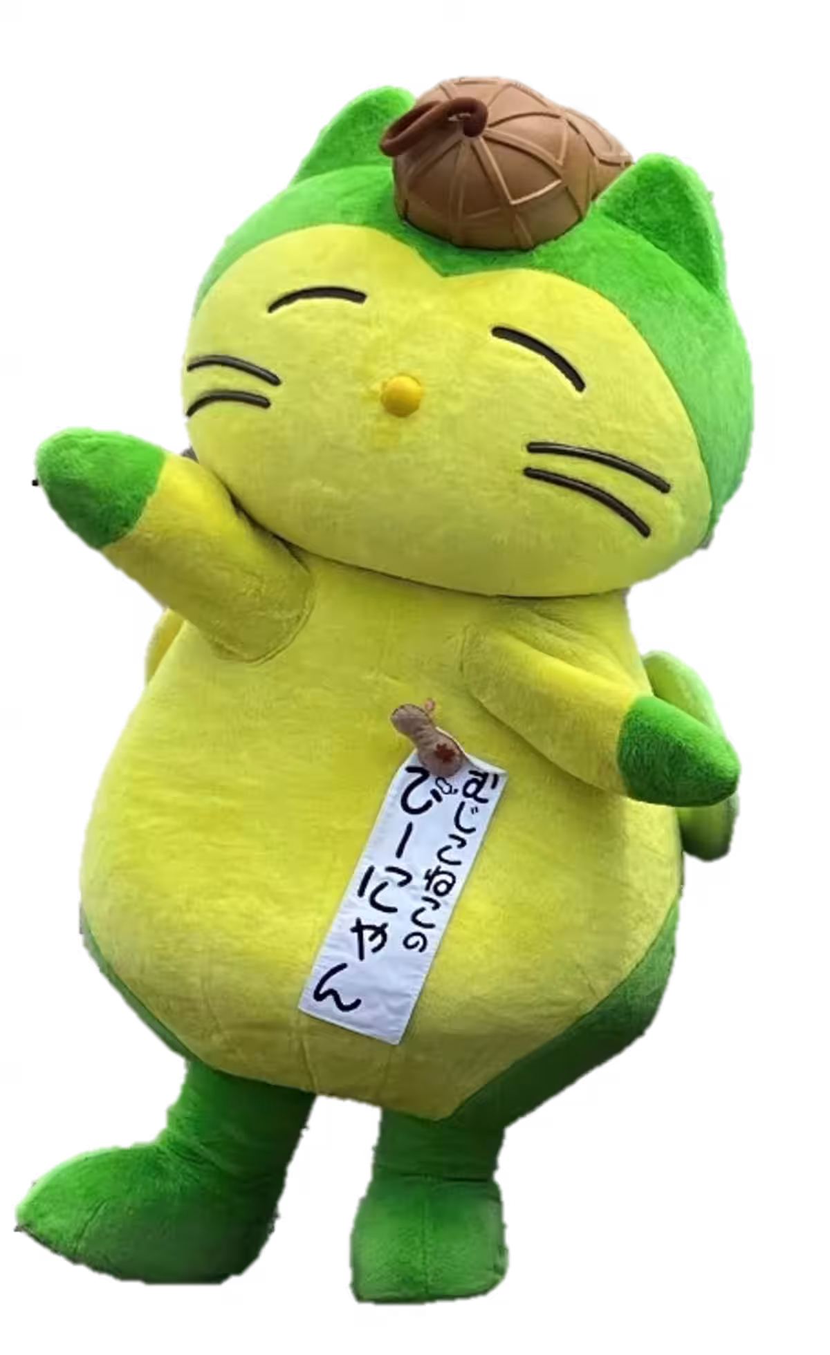 画像3