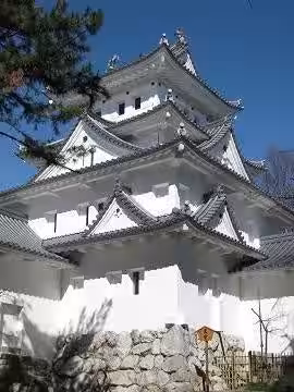 画像5