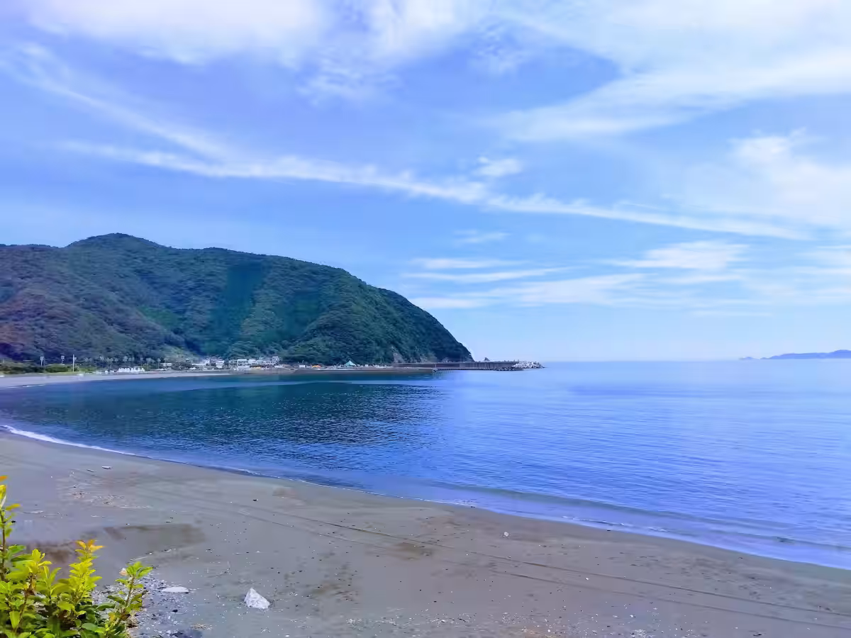 画像8