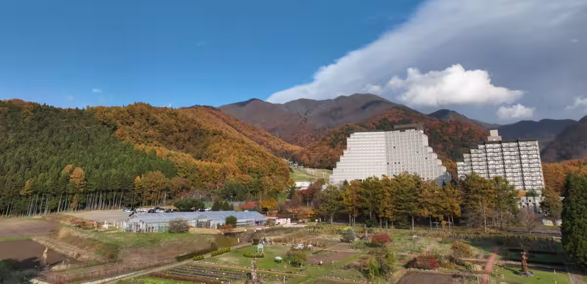 画像11
