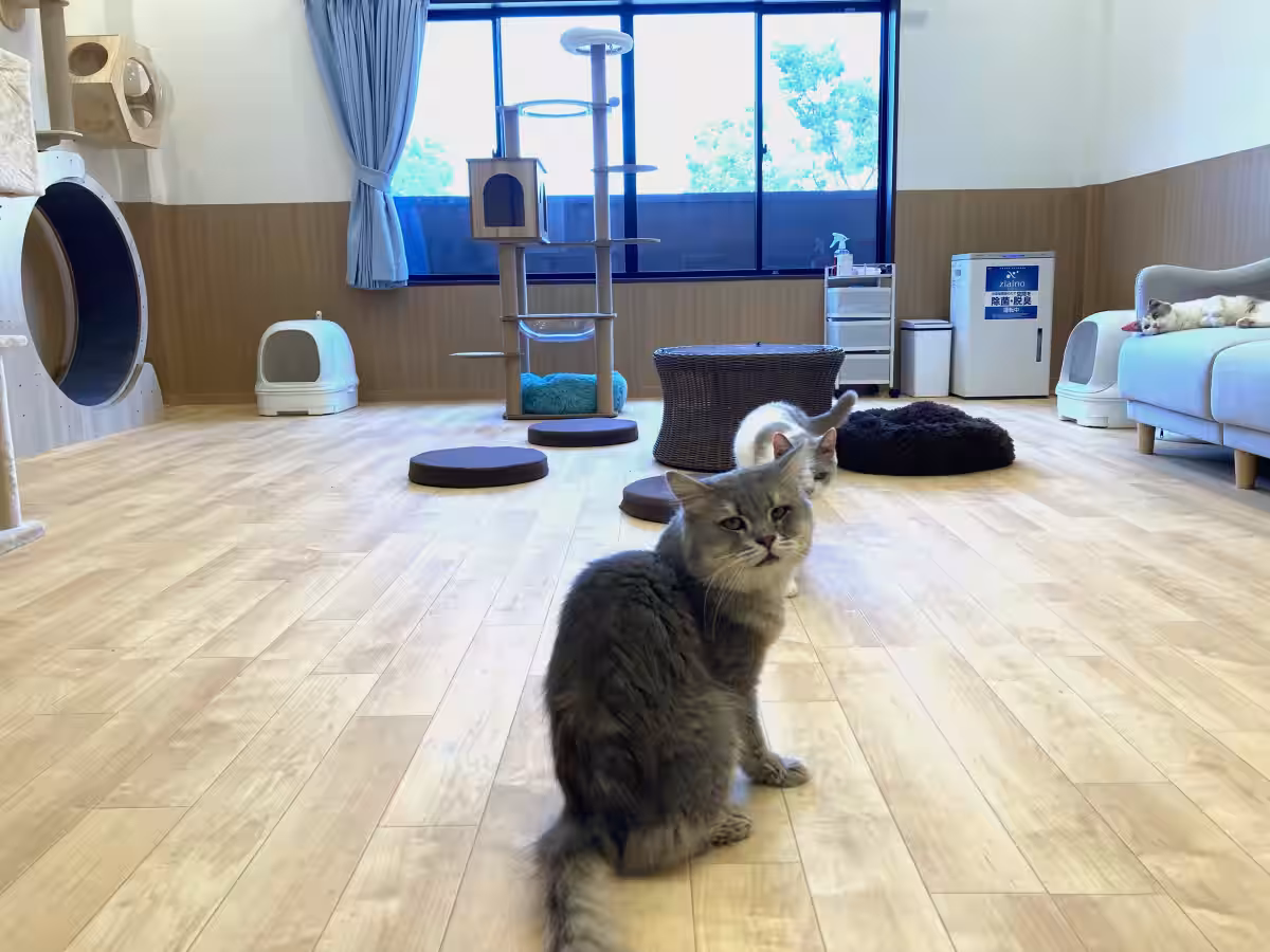 画像10