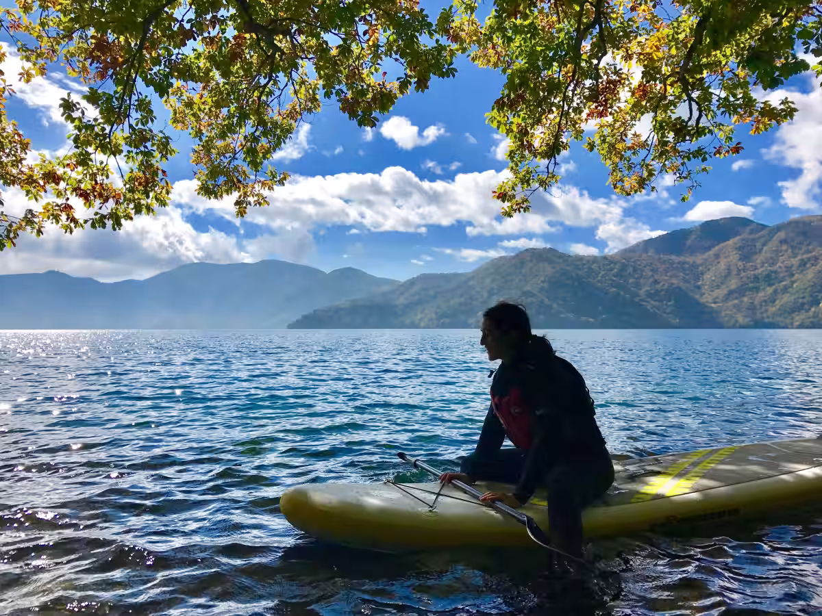 画像8