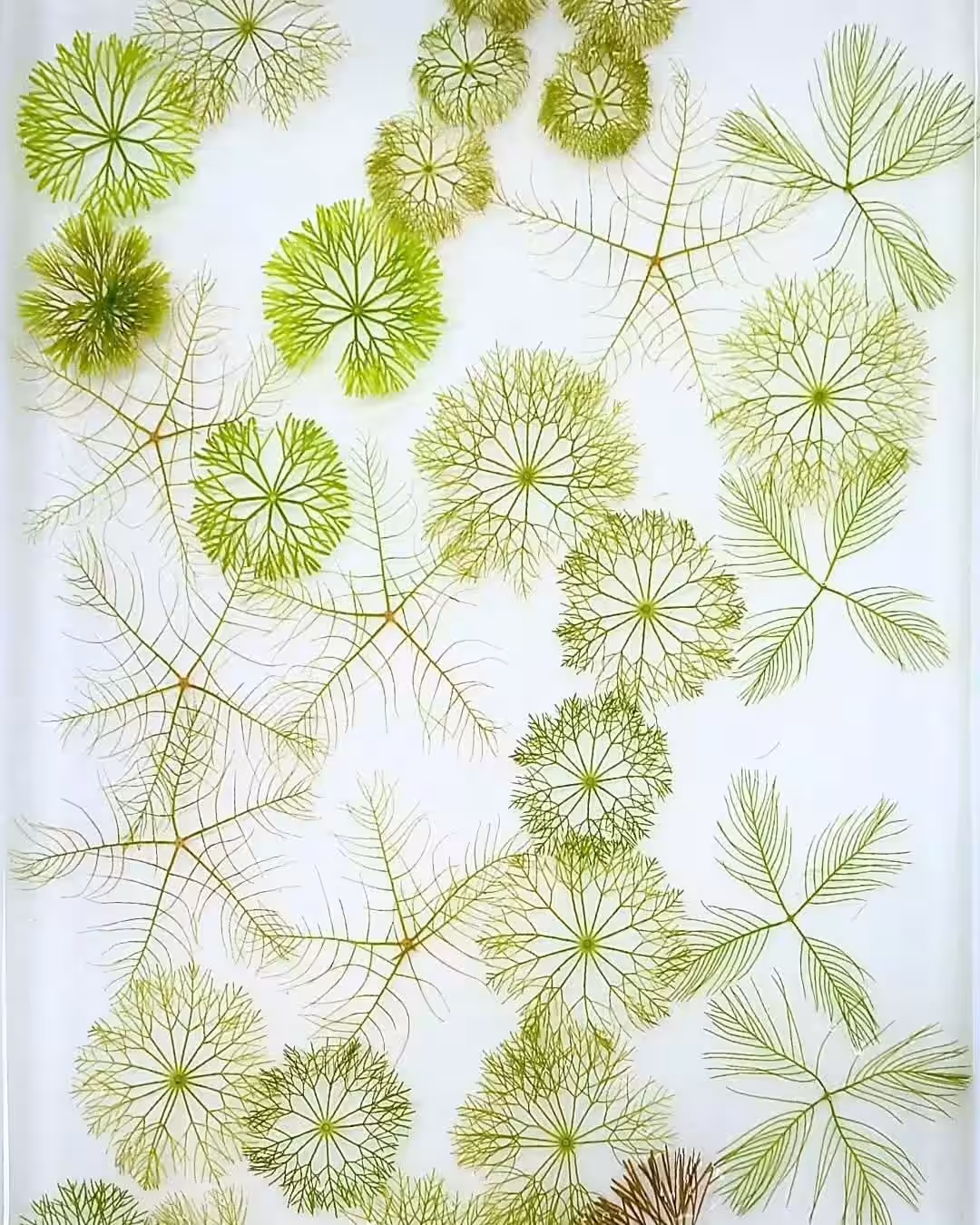 画像13