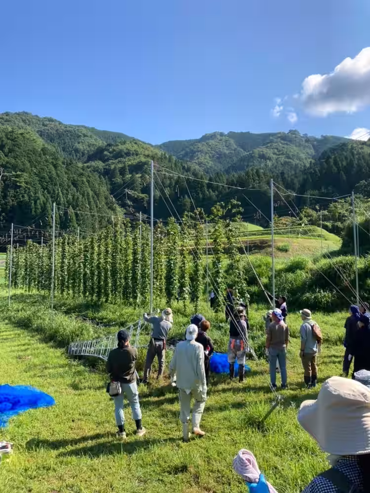 画像8