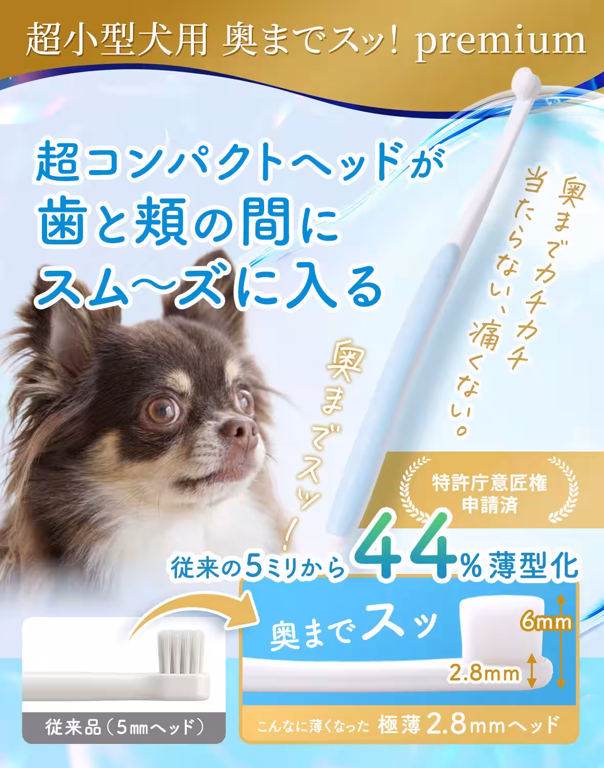 画像10