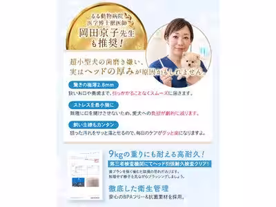 画像9