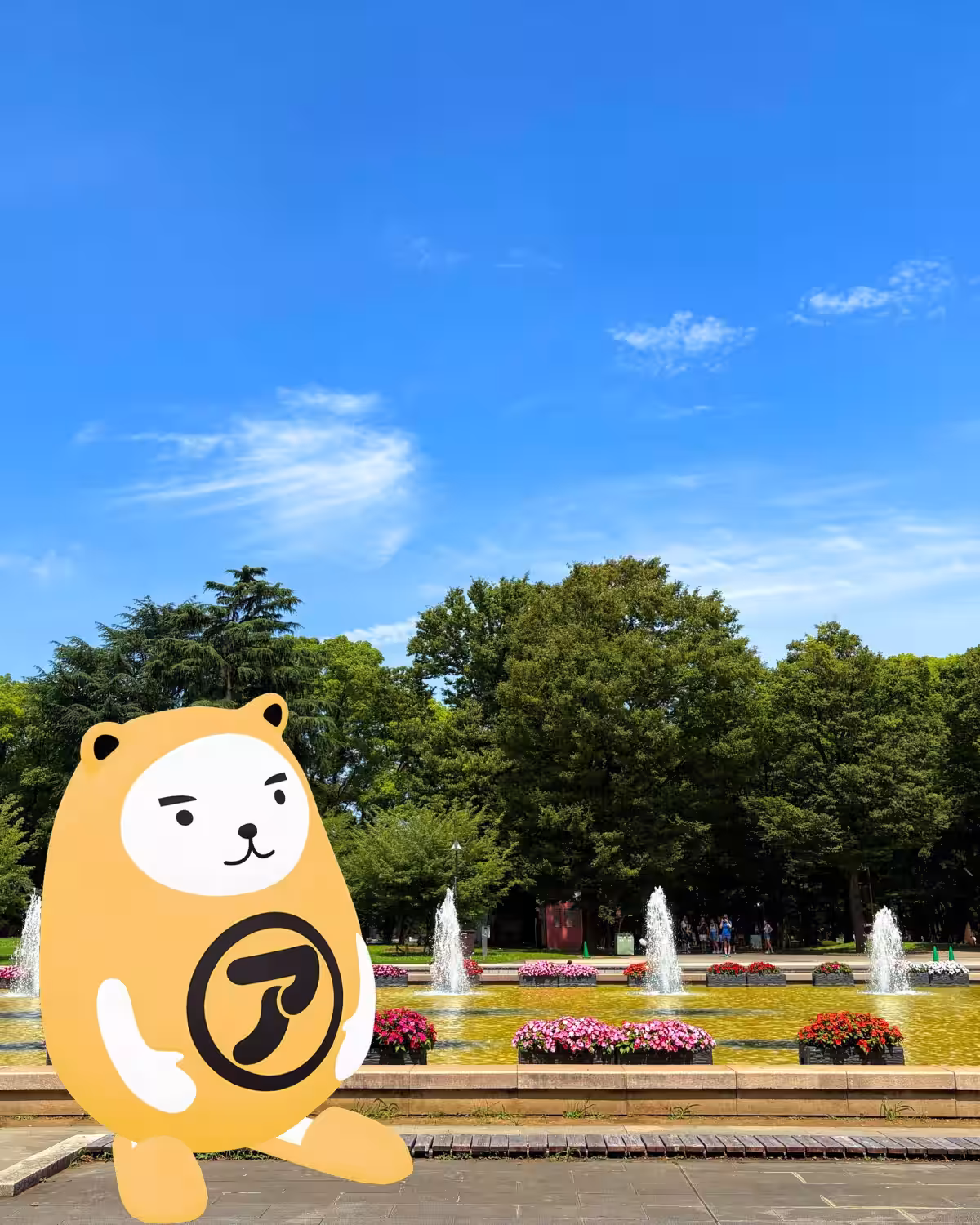 画像6