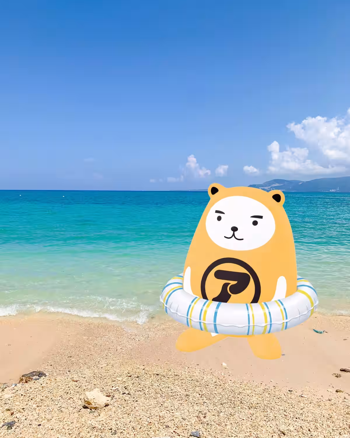 画像5