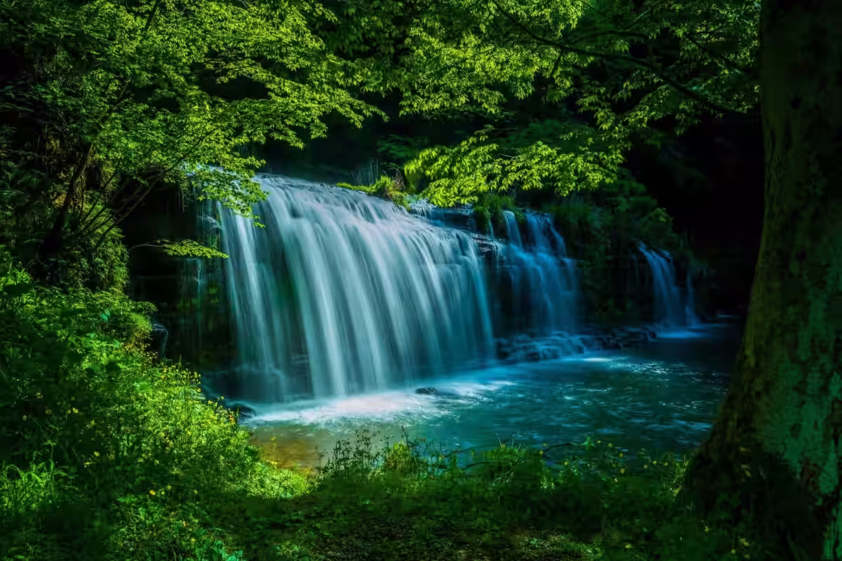 画像5