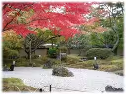 画像15